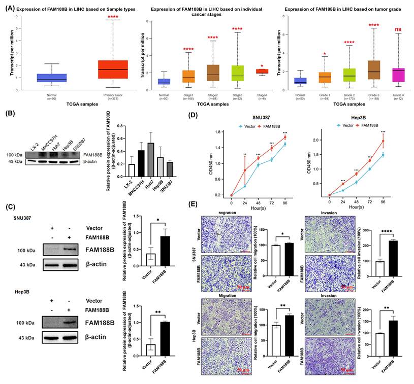 J Cancer Image