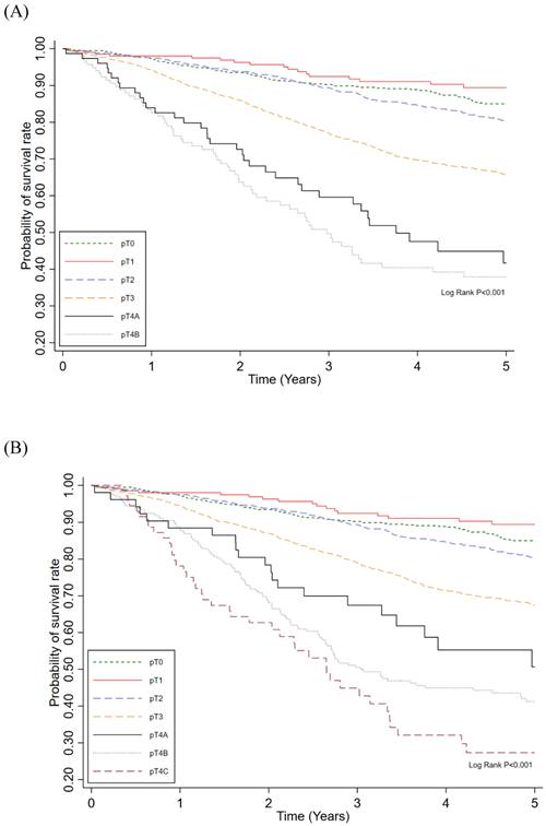 J Cancer Image