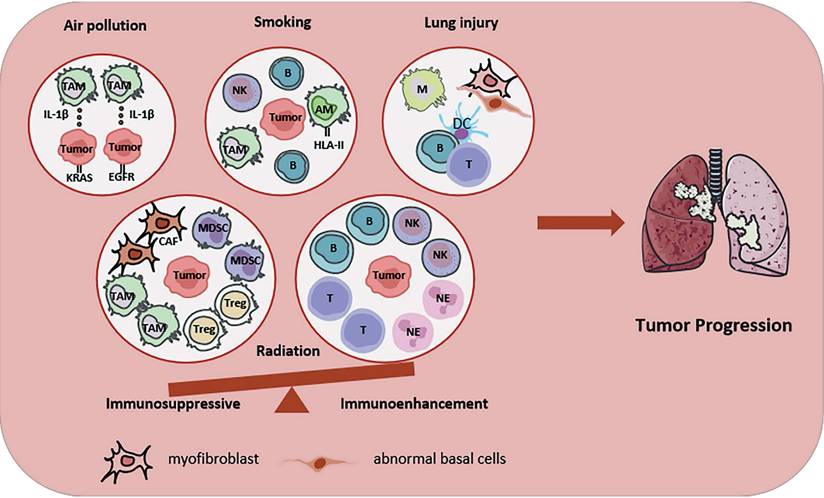 J Cancer Image