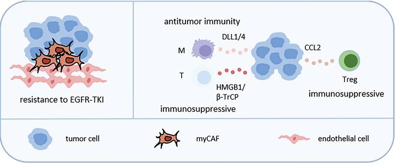 J Cancer Image
