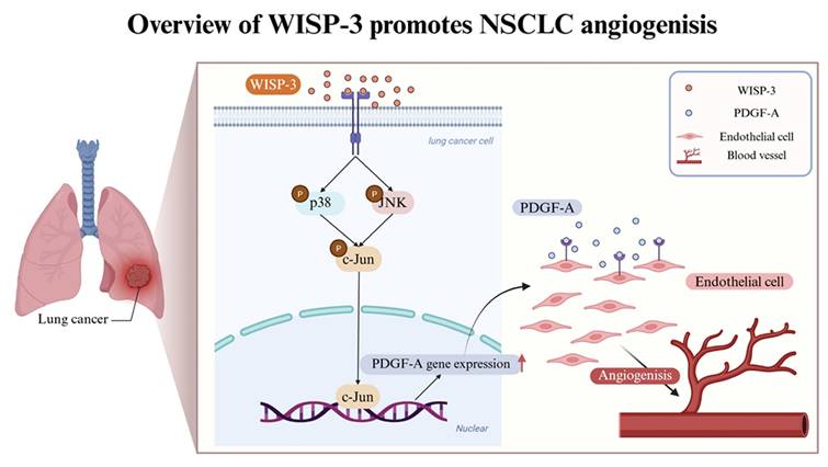 J Cancer Image