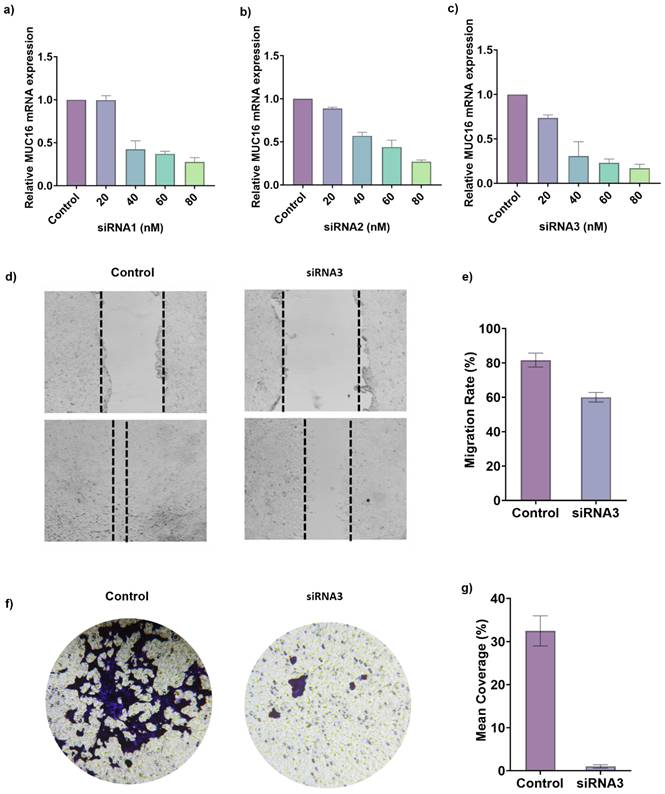 J Cancer Image
