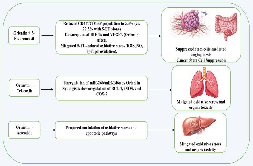J Cancer Image
