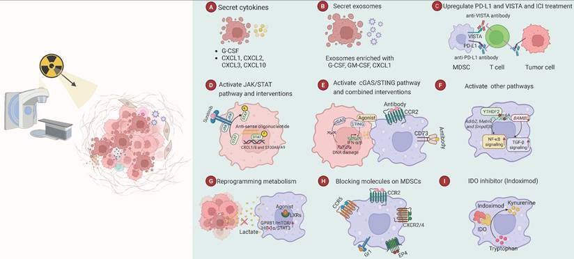 J Cancer Image