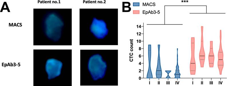 J Cancer Image