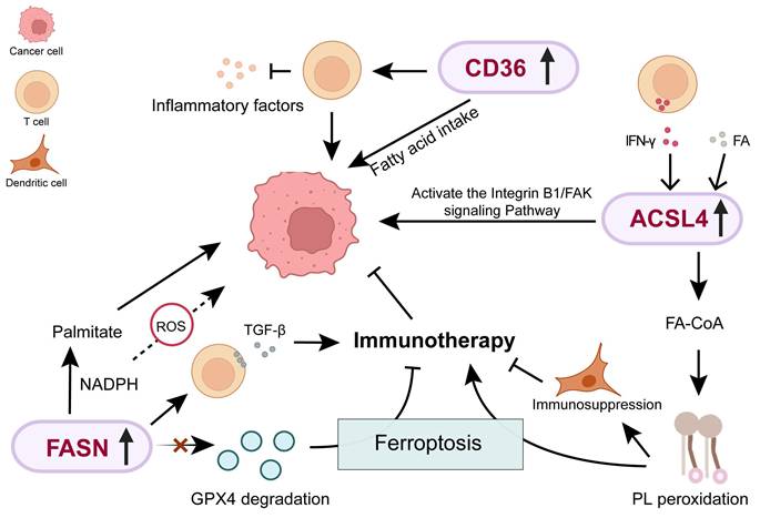 J Cancer Image