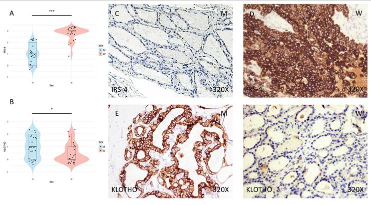 J Cancer Image