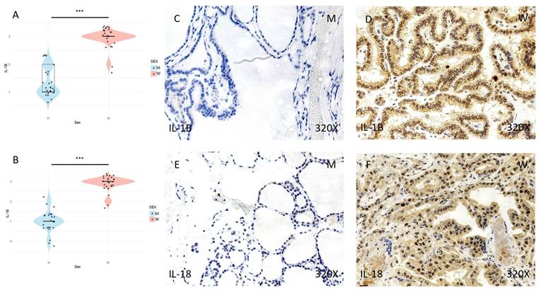 J Cancer Image