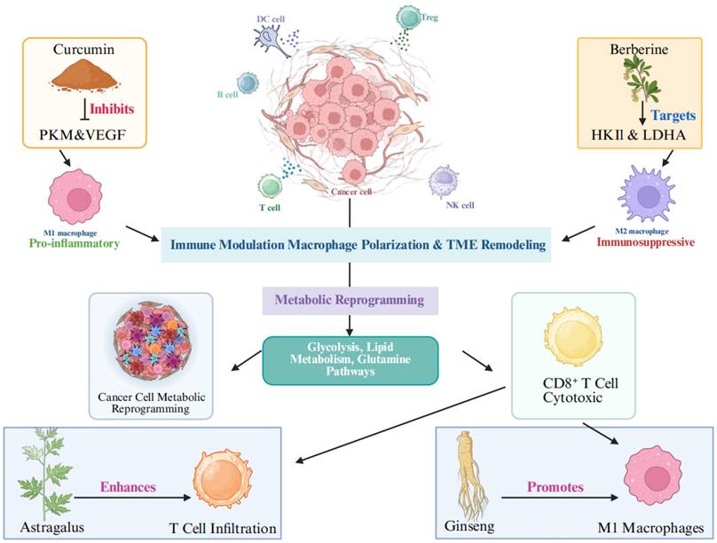 J Cancer Image