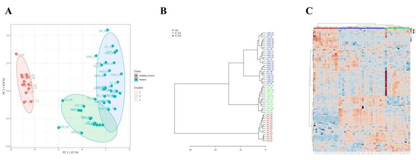 J Cancer Image