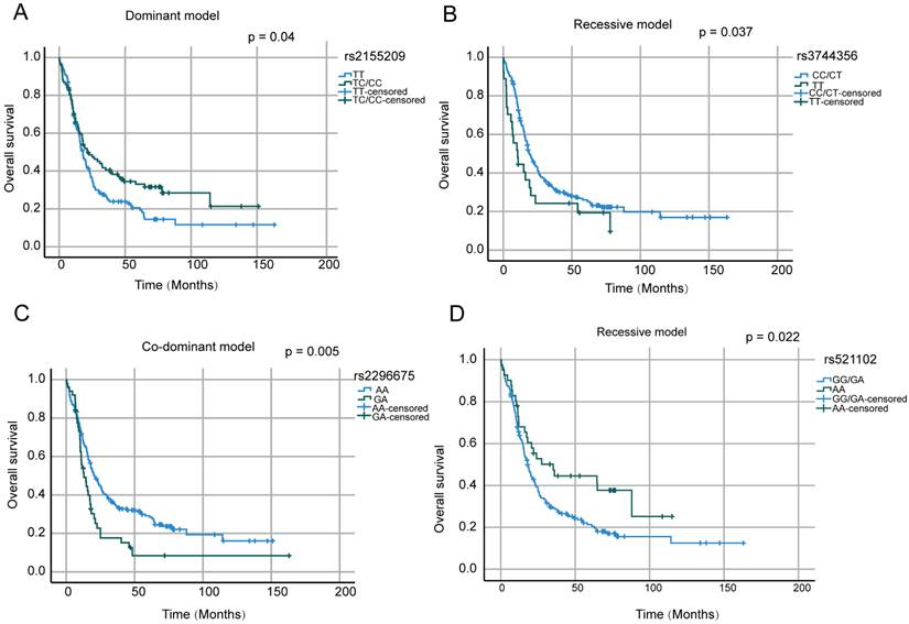 J Cancer Image