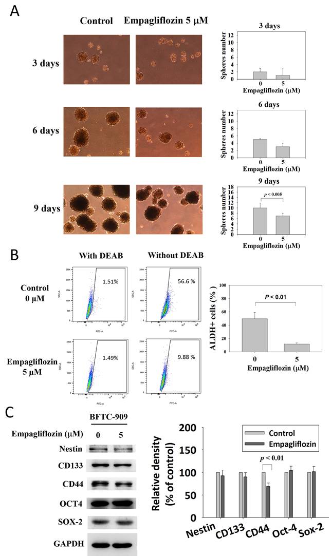 J Cancer Image