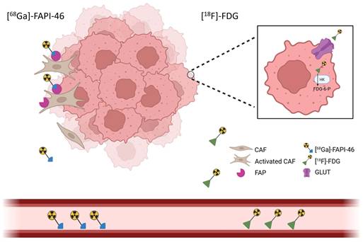 J Cancer Image
