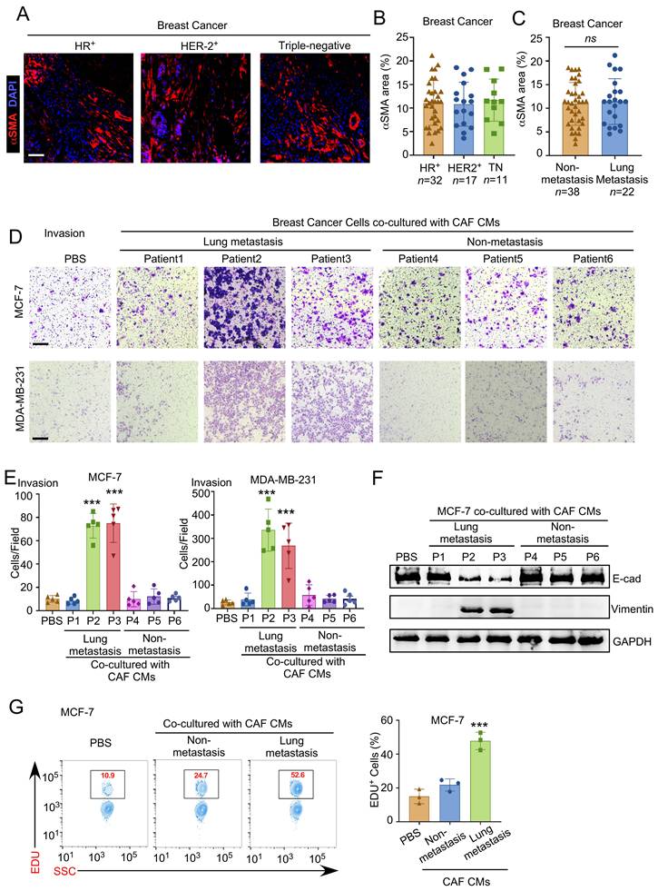 J Cancer Image