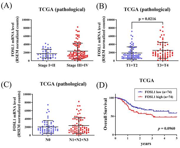 J Cancer Image