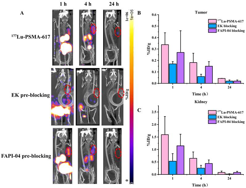 J Cancer Image