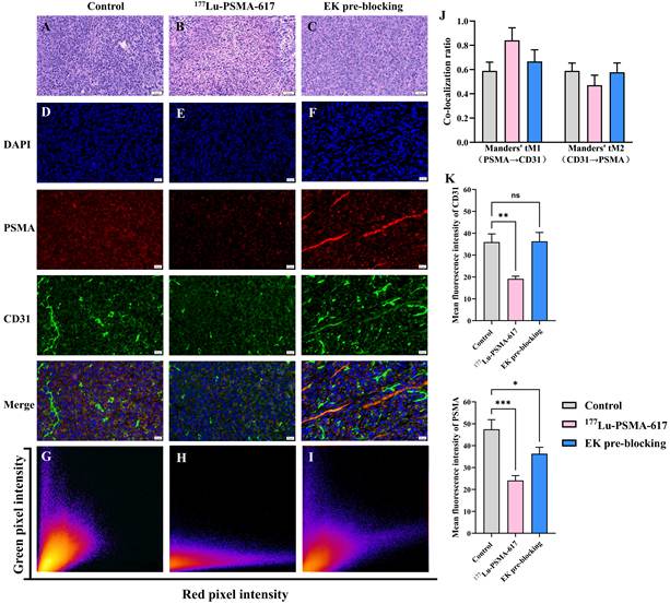 J Cancer Image
