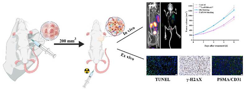 J Cancer Image